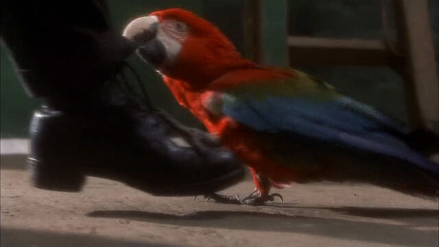 File:102-dalmatians-disneyscreencaps com-1086.jpg