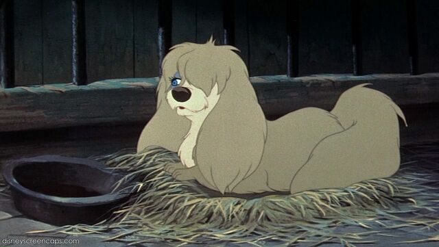 File:Tramp-disneyscreencaps com-6315.jpg