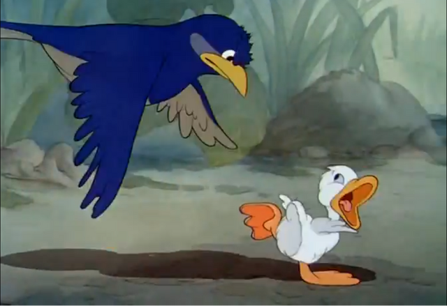 File:Udchased.png