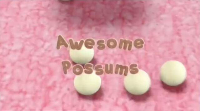 File:Awesome Possums.jpg