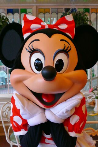 File:Minnie Mouse Photo2.jpg