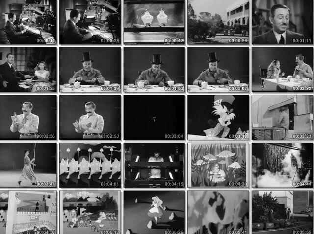 File:OperationWonderland2.jpg