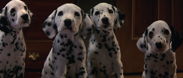 File:Dalmatian-Puppies-1996-1.png