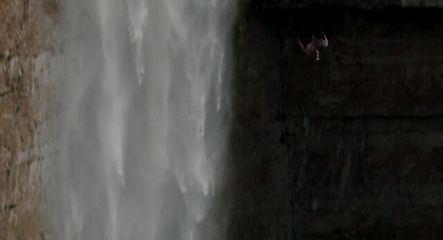 File:Dinosaur-disneyscreencaps com-569.jpg