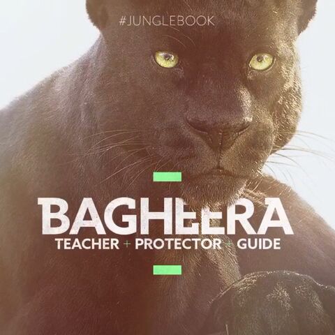 File:Bagheera Vine Poster.jpeg