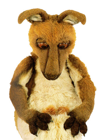 File:Kasey the Kangaroo.jpg