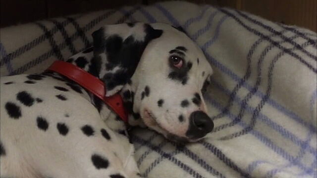 File:102-dalmatians-disneyscreencaps.com-1165.jpg