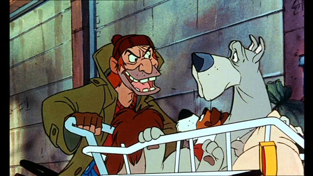 File:Oliver-Company-oliver-and-company-movie-5872989-768-432.jpg