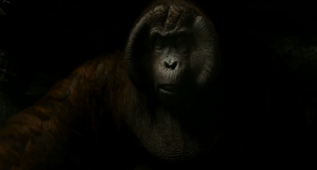 File:The Jungle Book 2016 (film) 12.png