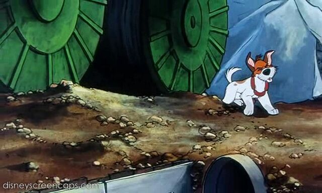 File:Oliver-disneyscreencaps.com-902.jpg