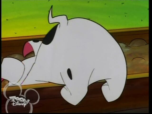 File:Rolly big butt.jpg