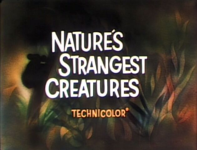 File:Tumblr nsztejxK991qhcrb0o1 1280.jpg