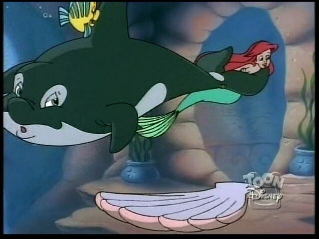 File:Whale39.jpg