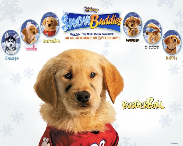 File:Snow buddies budderball.jpg
