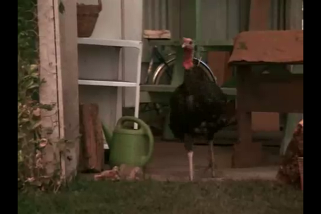 File:Turkey.png