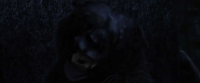 File:Brave-disneyscreencaps com-9344.jpg
