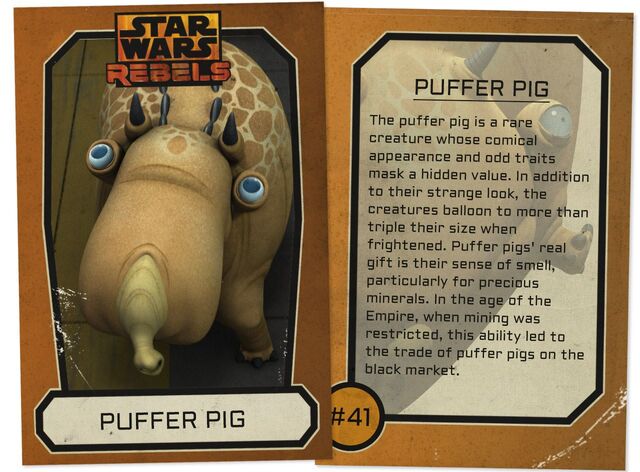 File:Puffer Pig Info.jpg
