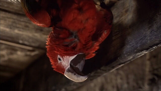 File:102-dalmatians-disneyscreencaps com-9074.jpg