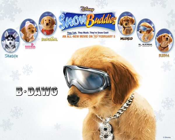 File:Snow buddies bdawg.jpg