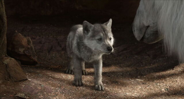 File:Jungle-book-2016-disneyscreencaps.com-2529.jpg