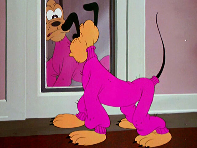 File:Pluto shocked at wearing a sweater.jpeg