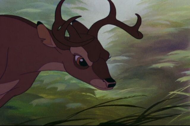 File:Bambi 353.jpg