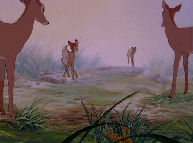 File:Imagebambibmaewtcp.jpg