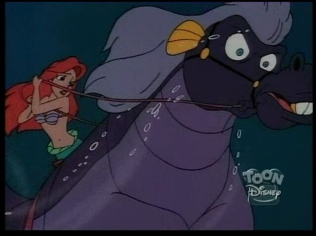 File:StormySeahorse111.jpg