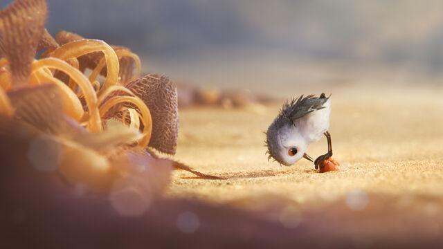 File:Piper-looking.jpg