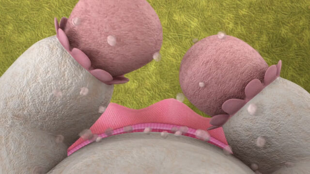 File:Lambie in lint 2.jpg