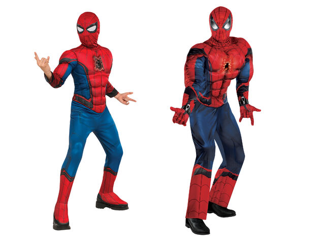File:Cwspiderman6.jpg