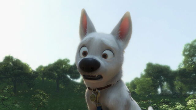 File:Bolt-disneyscreencaps.com-4581.jpg
