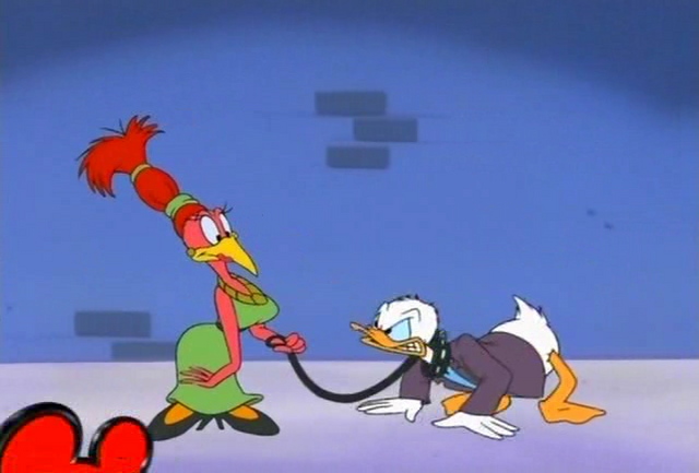 File:Aracuandog.png