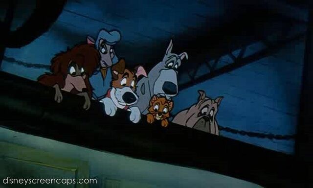 File:Oliver-disneyscreencaps.com-6719.jpg