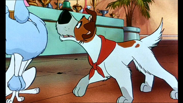 File:Oliver-Company-oliver-and-company-movie-5884537-768-432.jpg