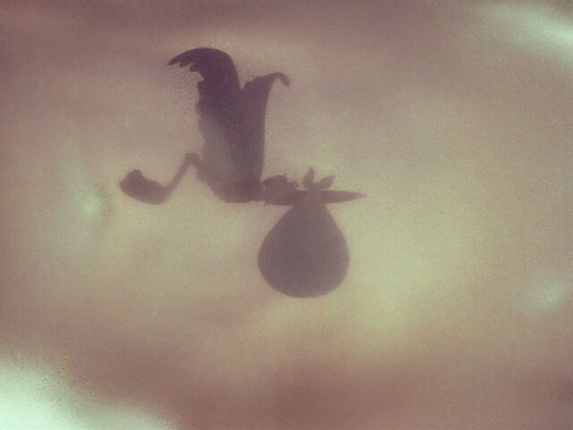 File:Dumbo-disneyscreencaps.com-560.jpg