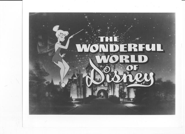 File:WWOD Photo.jpg