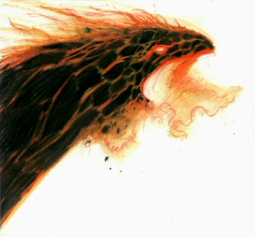 File:Firebird Concept Art 7.jpg