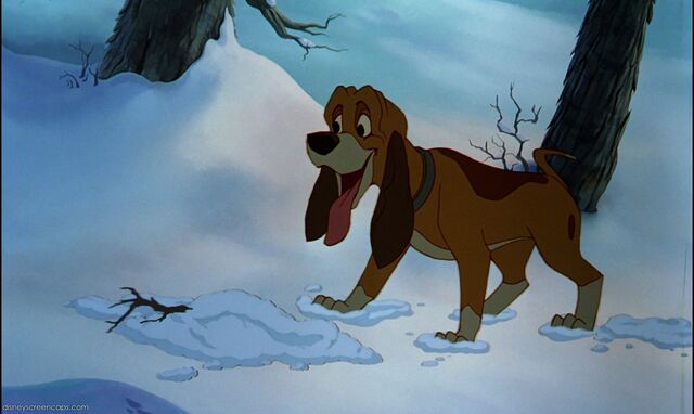 File:Fox1-disneyscreencaps.com-3905.jpg