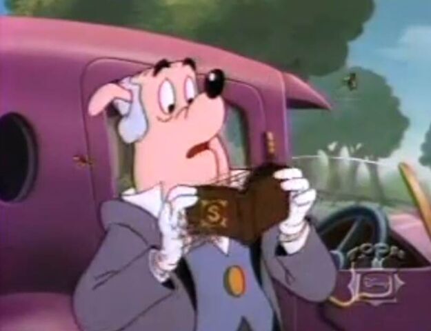 File:WebbedWallet.jpg