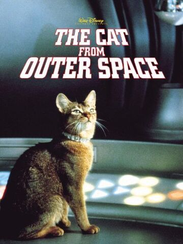 File:Cat from outer space.jpg