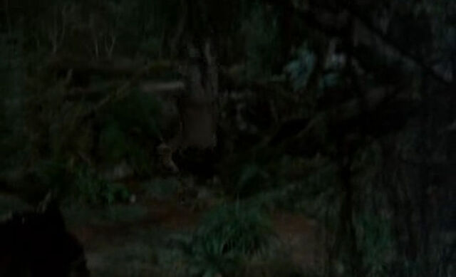 File:Petes-dragon-disneyscreencaps.com-512.jpg
