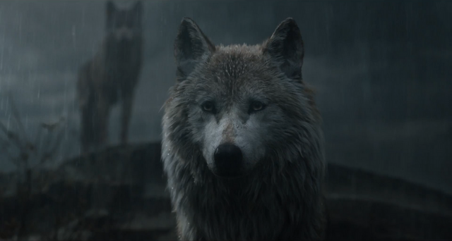 File:Jungle Book 2016 95.png