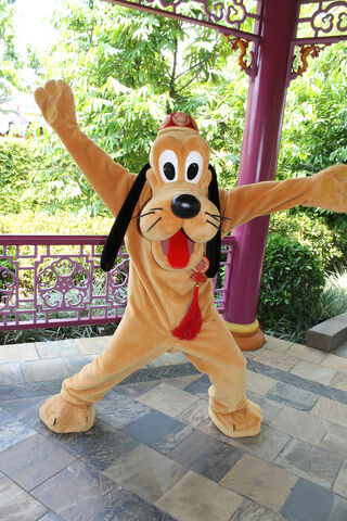 File:5997206565 7ffd5cfb5f b.jpg