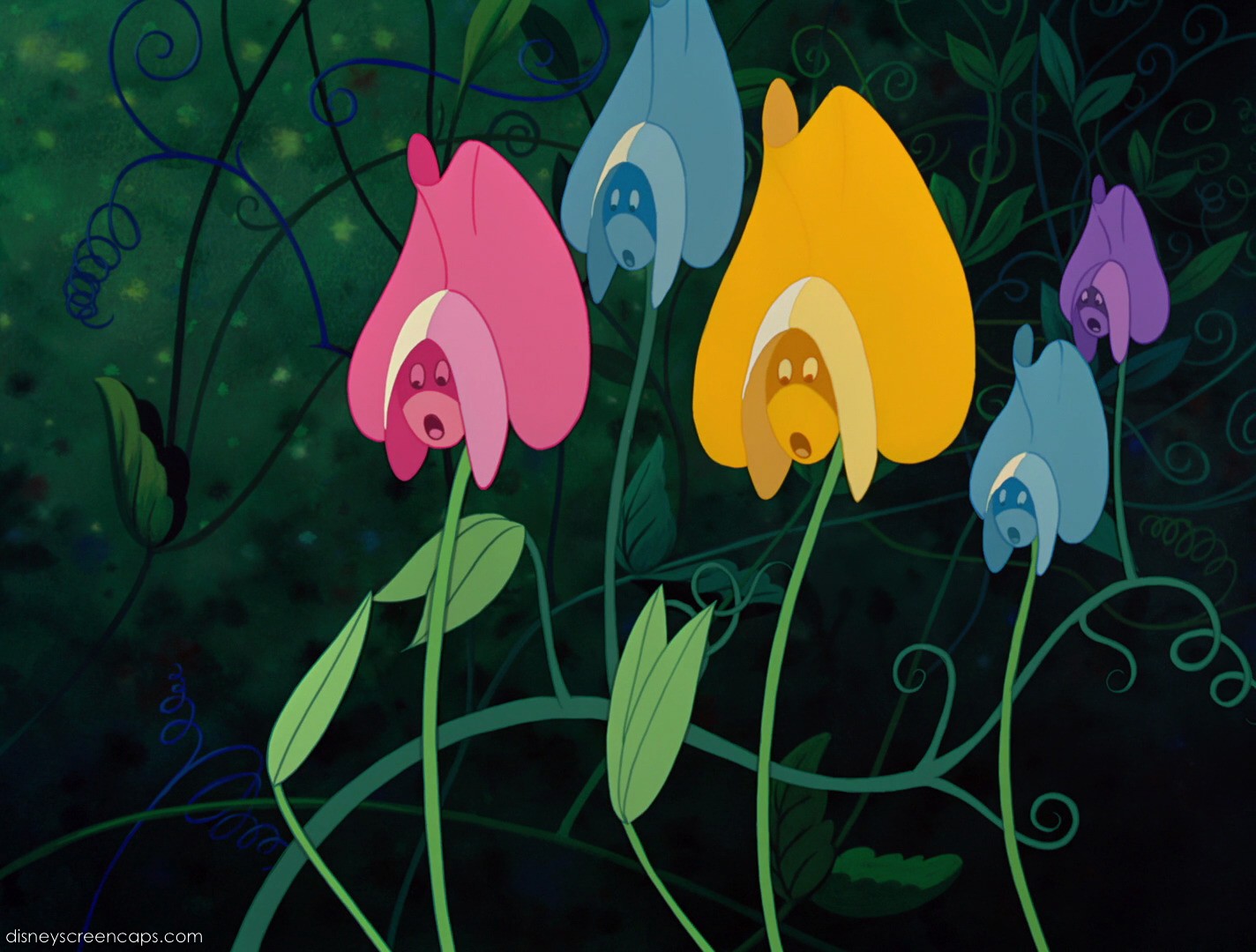 Image Alicedisneyscreencaps com3477.jpg Disney Wiki FANDOM