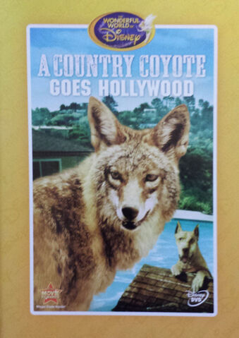 File:1965-coyote-7.jpg