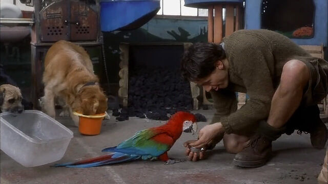 File:102-dalmatians-disneyscreencaps com-962.jpg