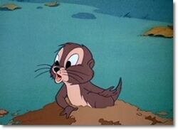 Chipmunk