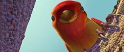 Bird.jpg