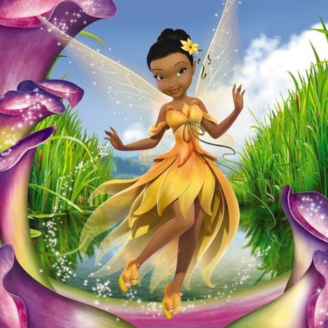 File:Disney-Fairies-Redesign-disney-fairies-34698208-747-748.jpg